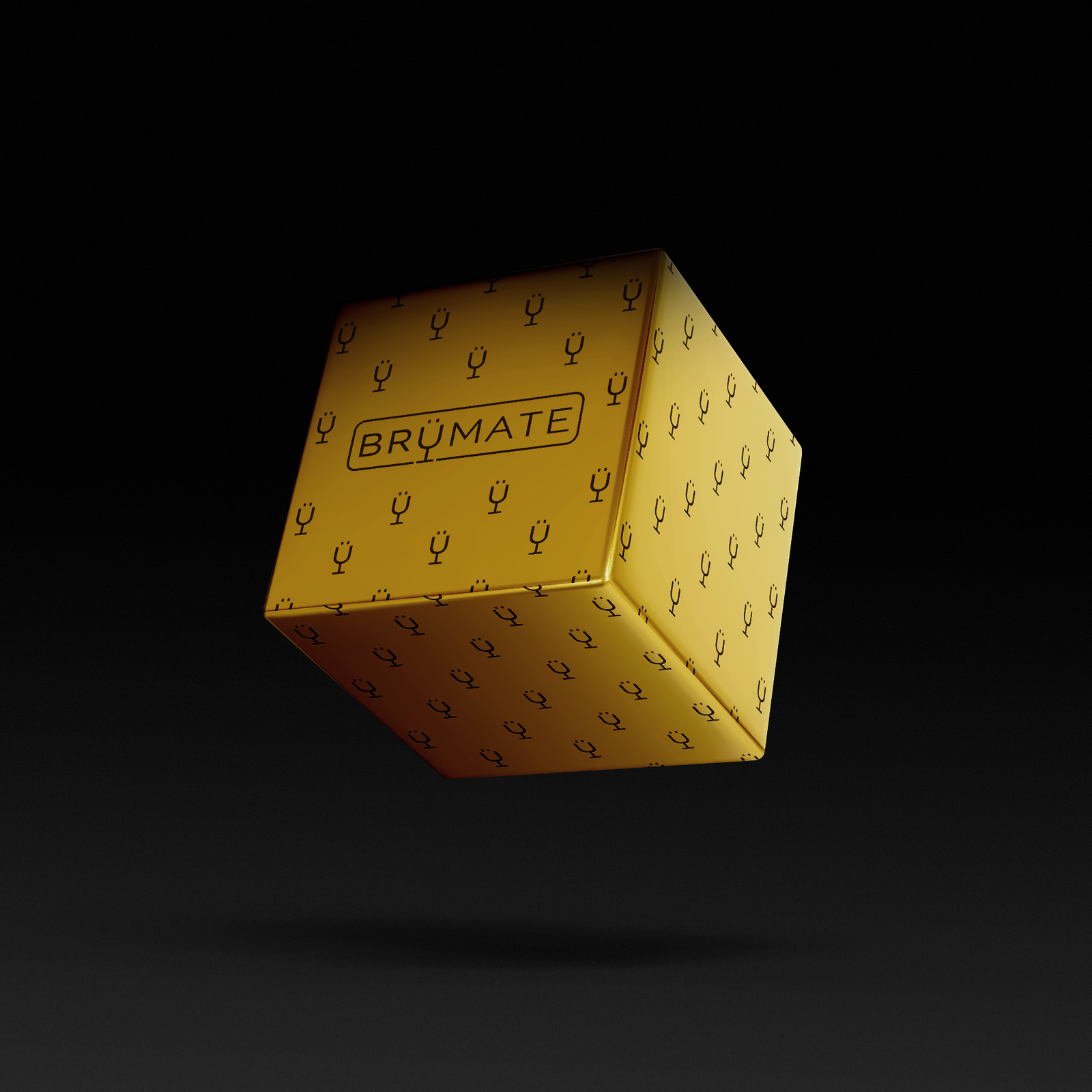 Premium Mystery Item ($39-70 Value) K5